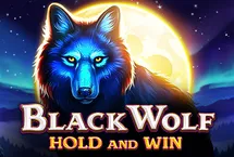 RTP quickspin pocketslot777